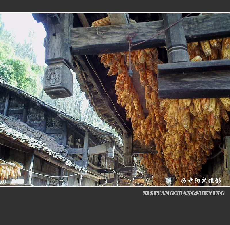 PICT0026.JPG