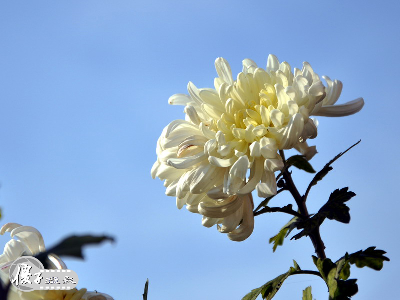 DSC_0046.jpg