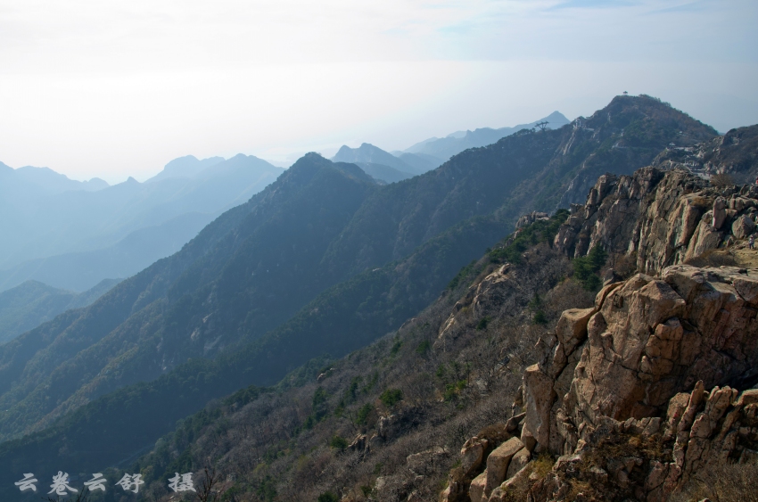 _DSC7431_conew1.jpg