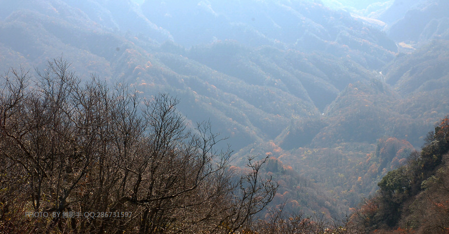 DSC_0073.jpg