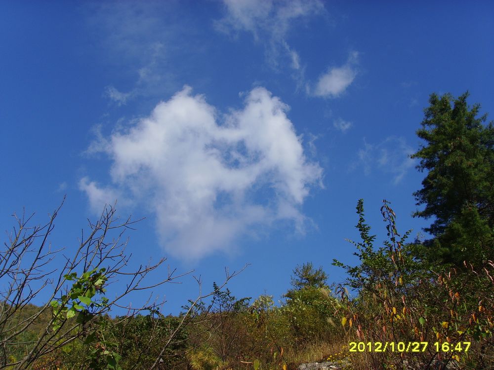 SSL25277.JPG
