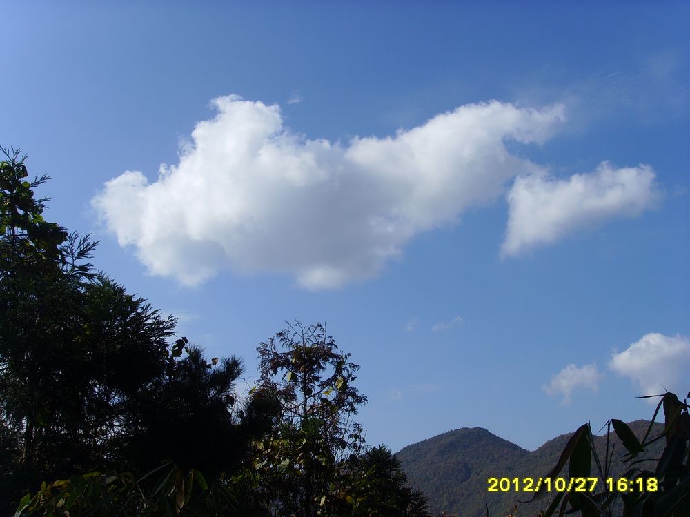 SSL25263.JPG