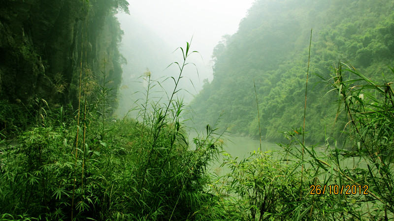 IMG_0926_ط1.jpg