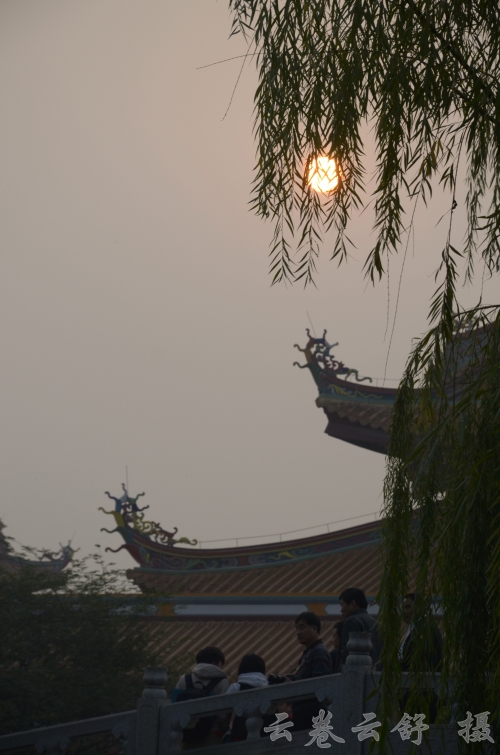 _DSC7752_conew1.jpg