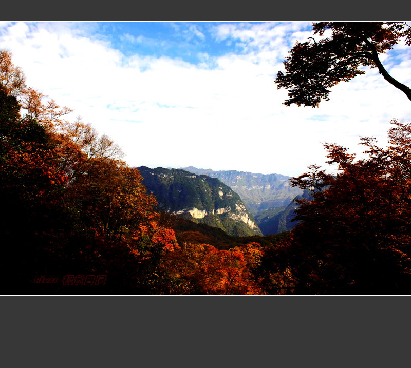 DSC07500abc.jpg