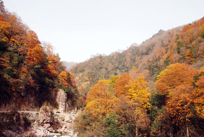 ɽ2012 197.jpg