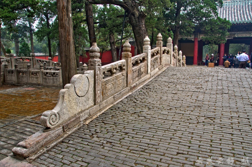 _DSC7486_conew1.jpg