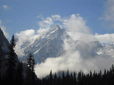DSC03079.jpg