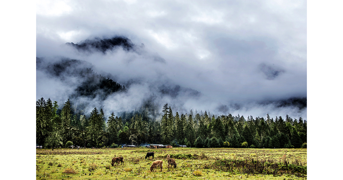 DSC_4783##.jpg