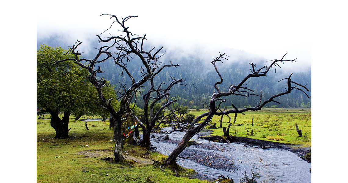DSC_4874##.jpg