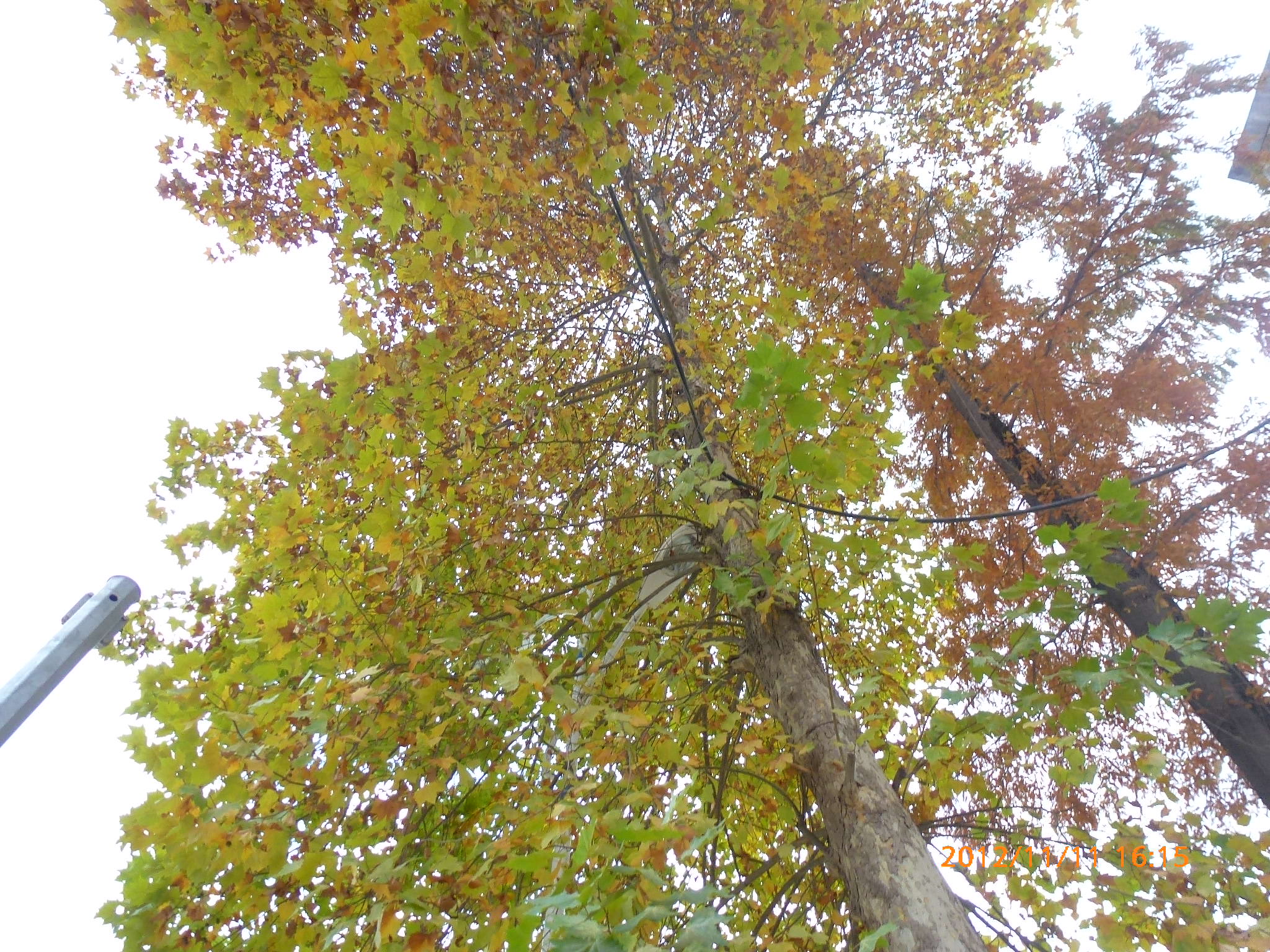P1040066.JPG
