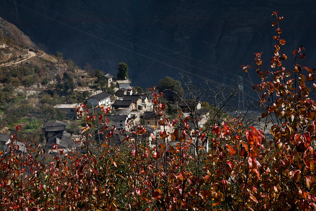 黄草坪村图片