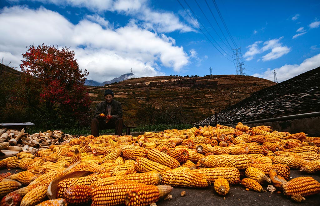 大渡河畔的黄草坪村