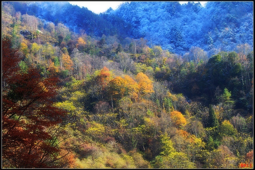 a7.jpg