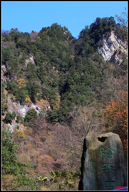 a11.jpg