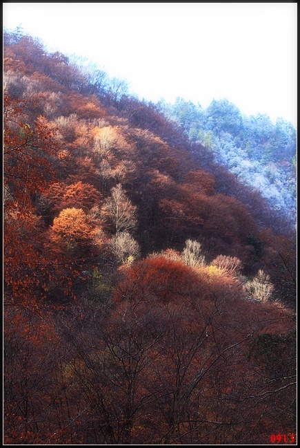 a44.jpg