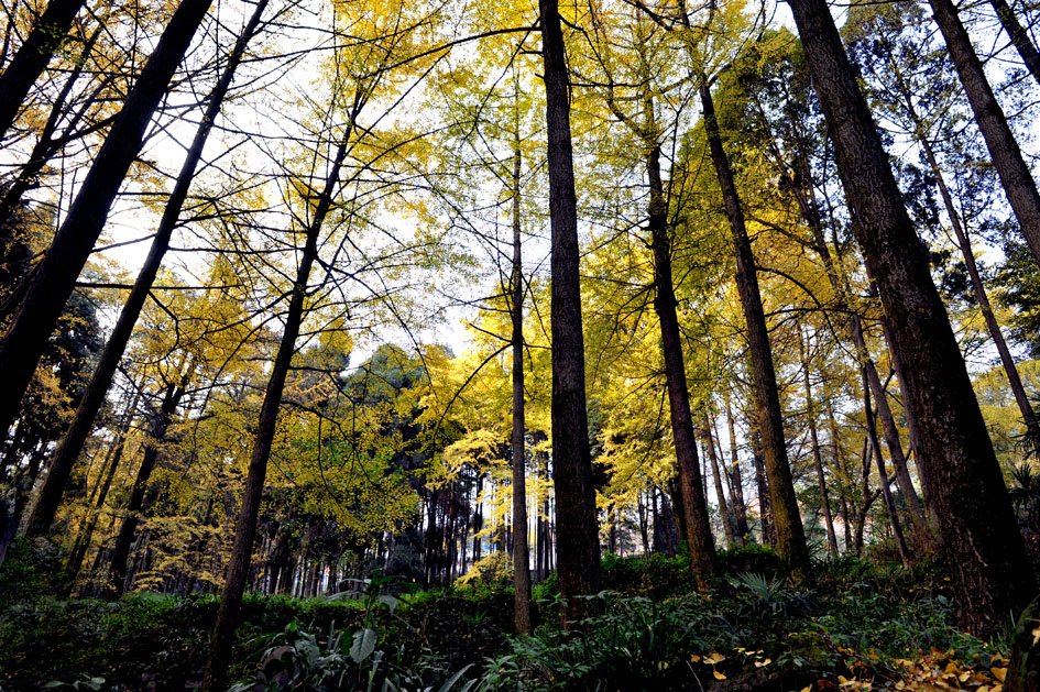 DSC_6666.jpg