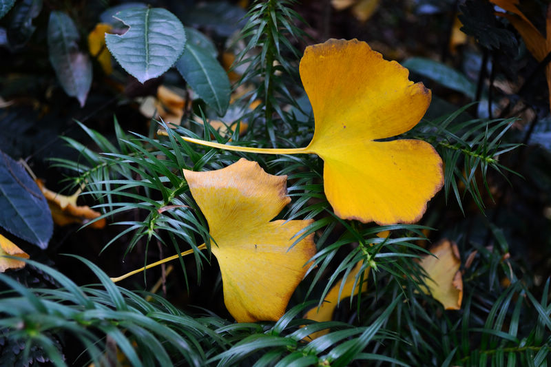 DSC_2872.jpg