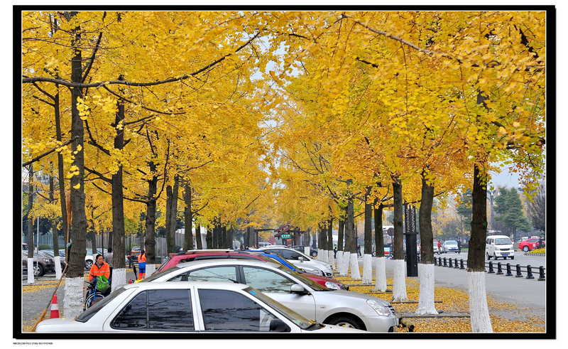 DSC_0017.jpg