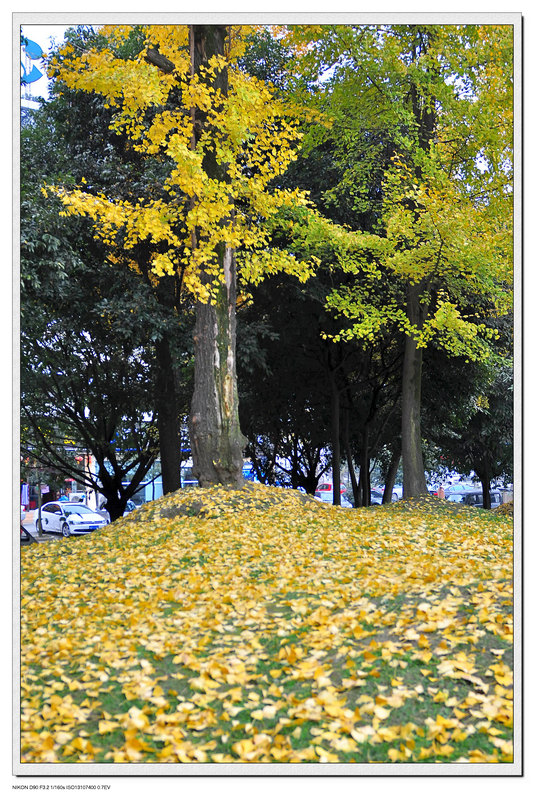 DSC_0029.jpg