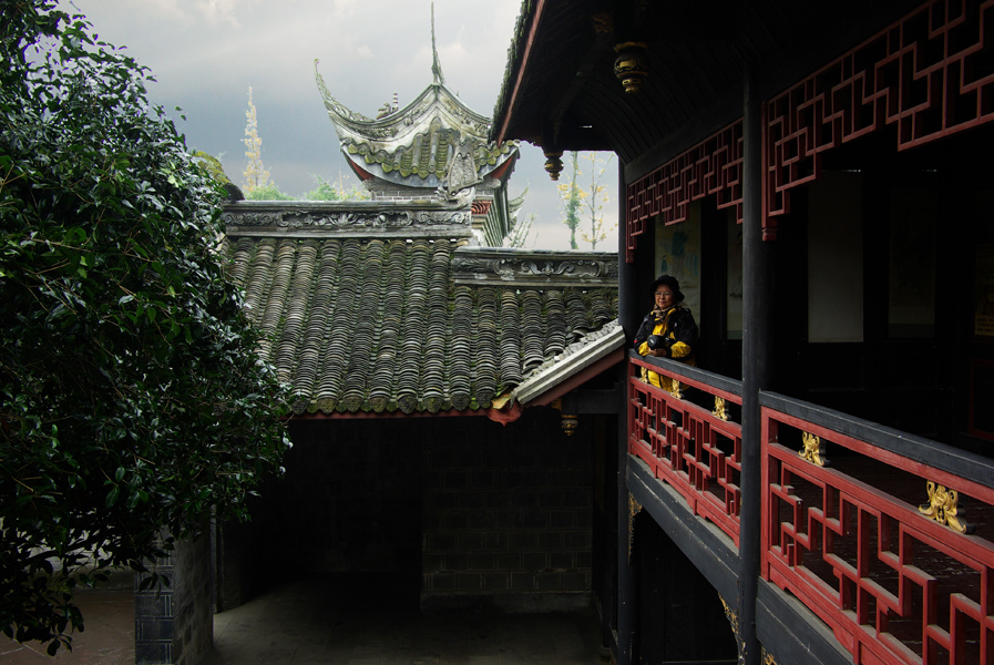 IMGP0317.jpg