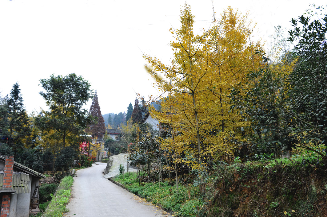DSC_6746.jpg