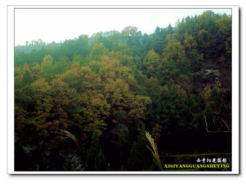 PICT00201.jpg