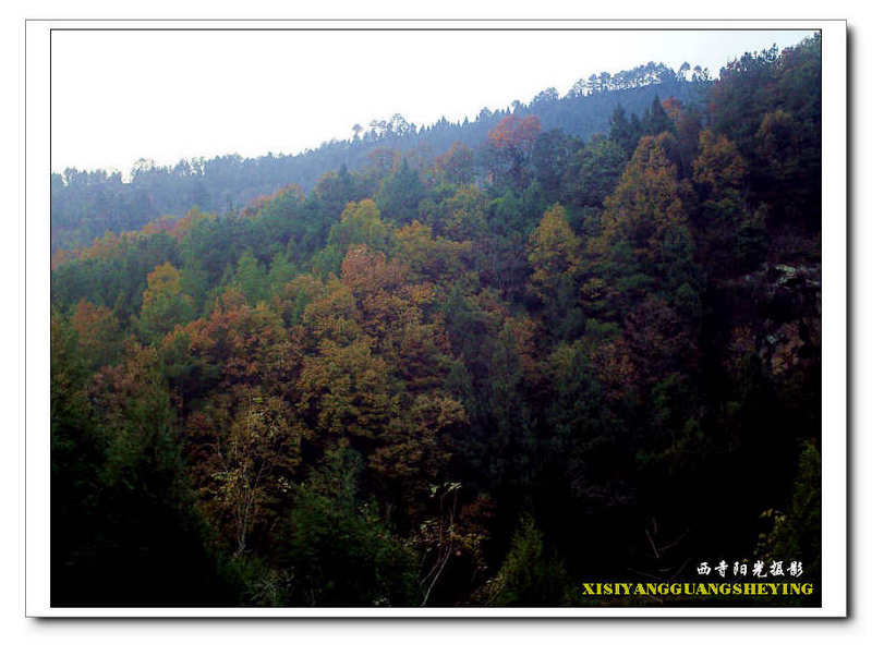 PICT00221.jpg