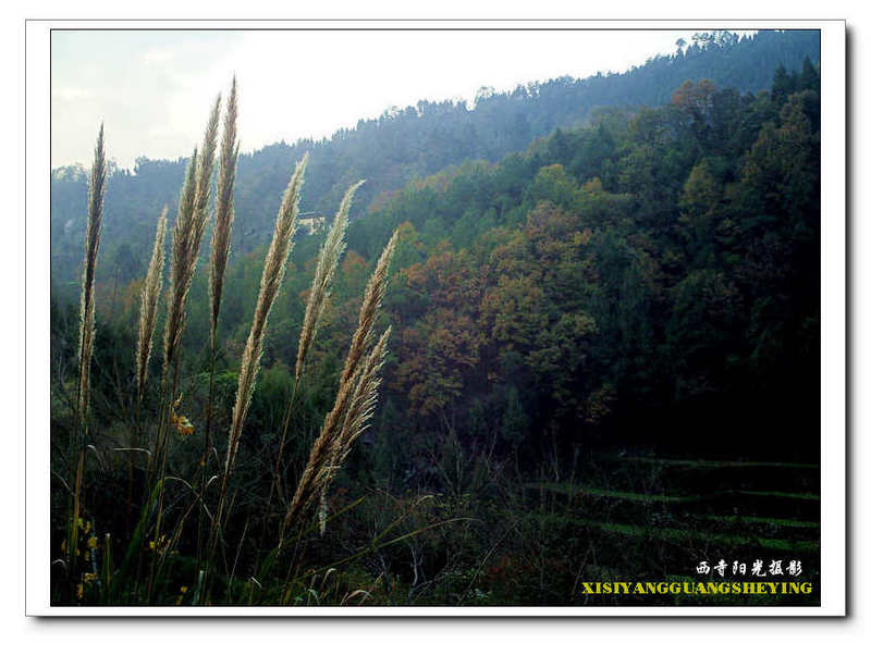 PICT00241.jpg