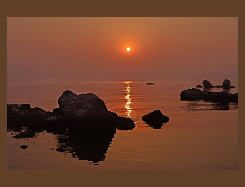 DSC_4872.jpg