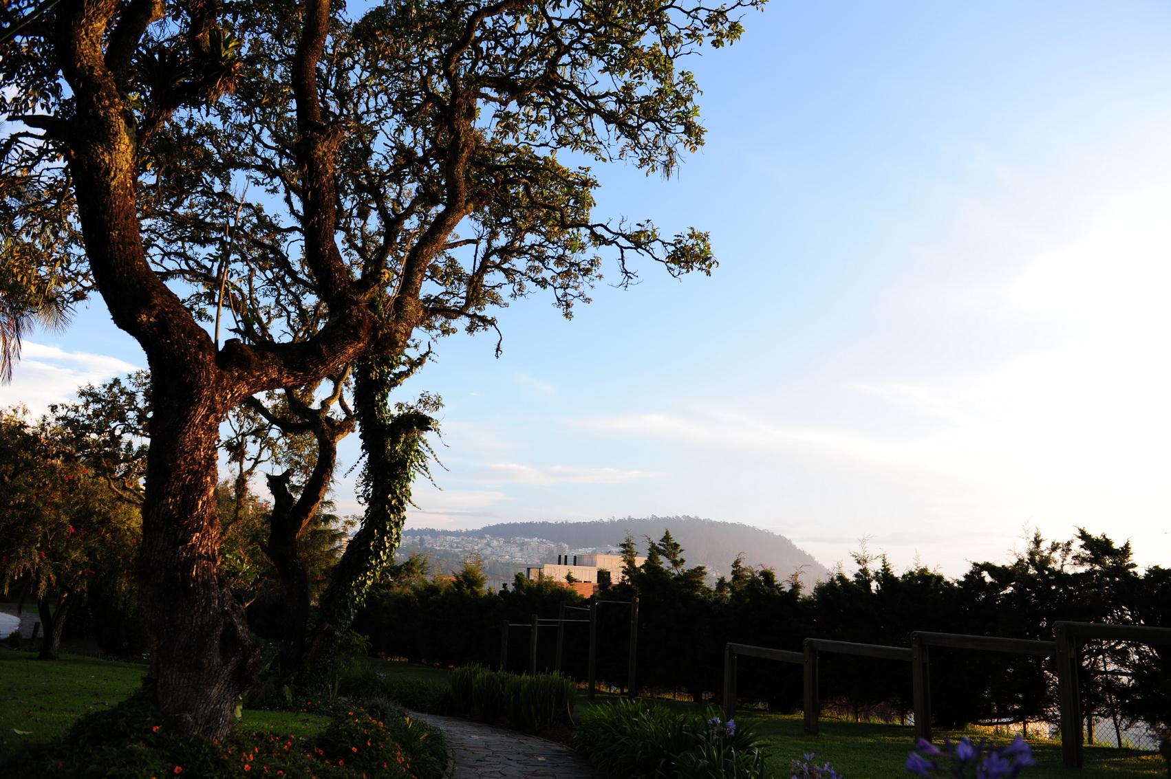 DSC_6825_С.JPG