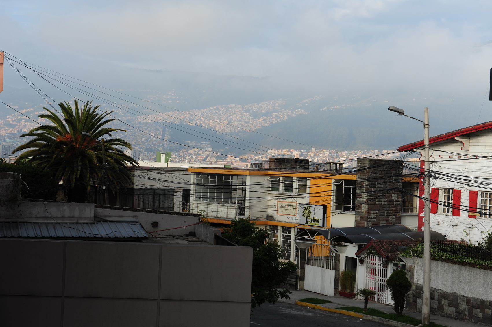 DSC_6895_С.JPG