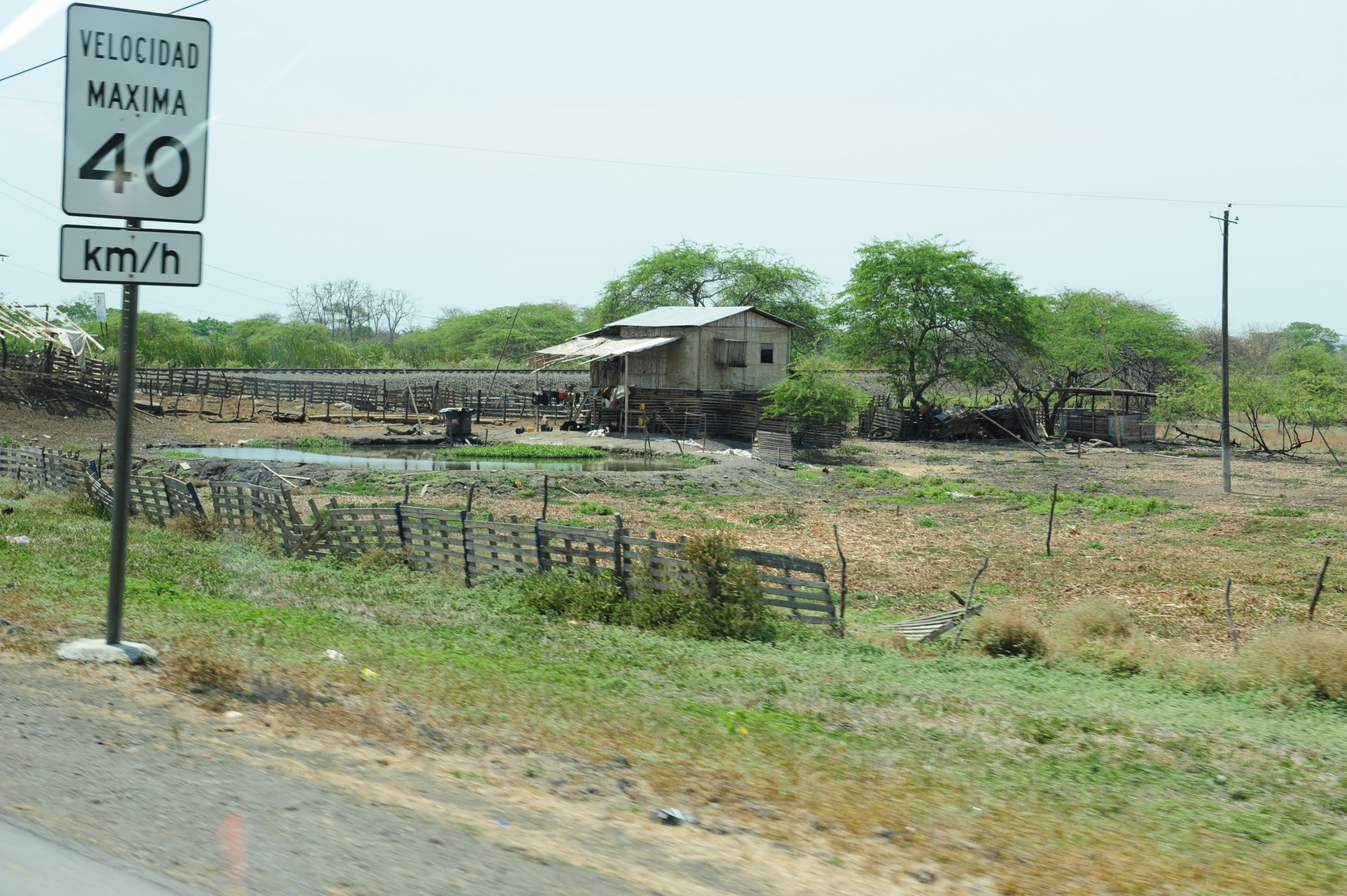 DSC_7129_С.JPG