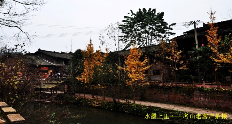 conew_Ƭ 001_conew1.jpg
