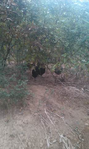 С IMG_20121118_091835.jpg
