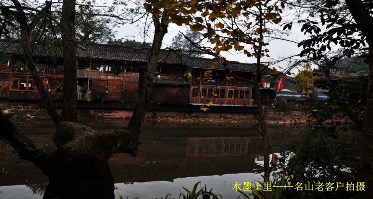 conew_Ƭ 108_conew1.jpg