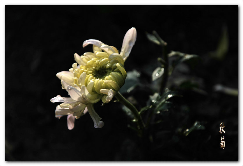 DSC_1881.jpg