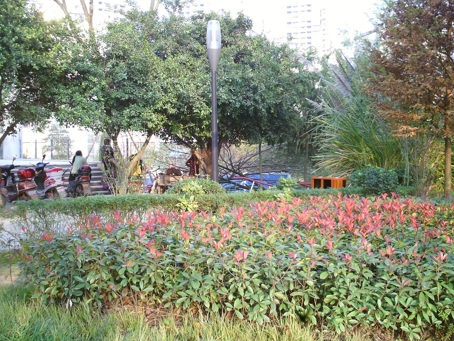 PICT1402.JPG