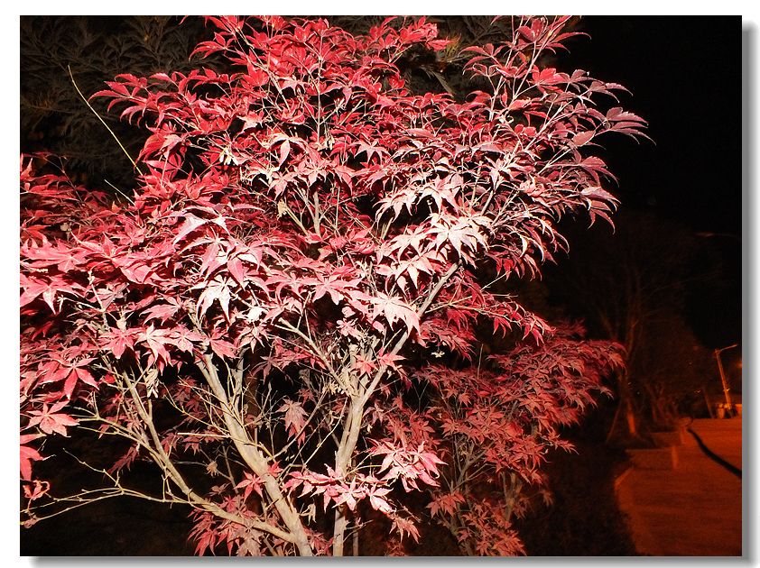 DSCF5091.jpg