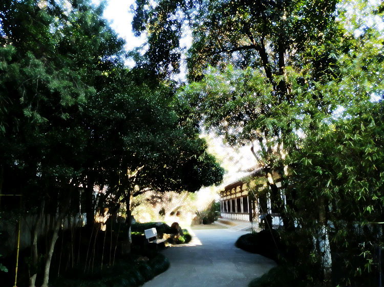 nEO_IMG_PC090289.jpg