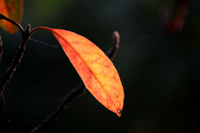 DSC_3855.jpg