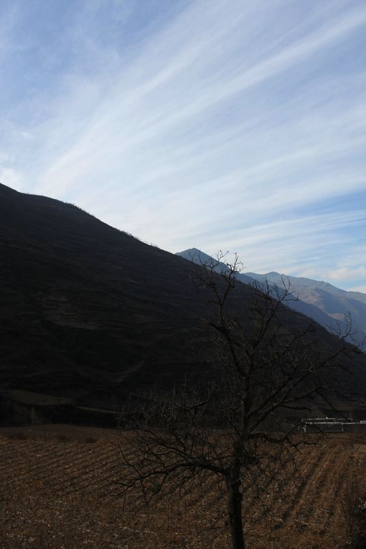 IMG_7981_.jpg
