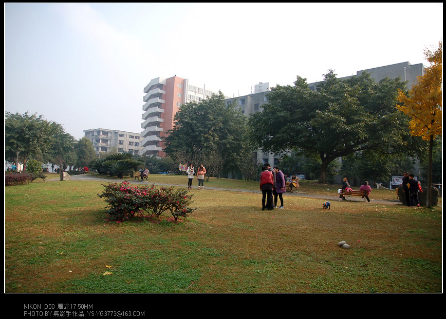 DSC_0066.jpg