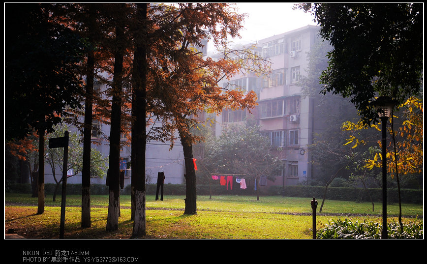 DSC_0093.jpg