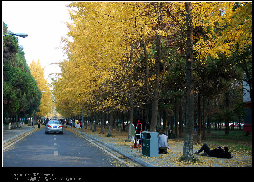 DSC_0104.jpg