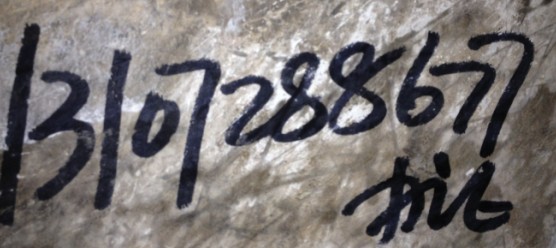 ]_0OY3GT31~}5[TT)YKV)QC.jpg