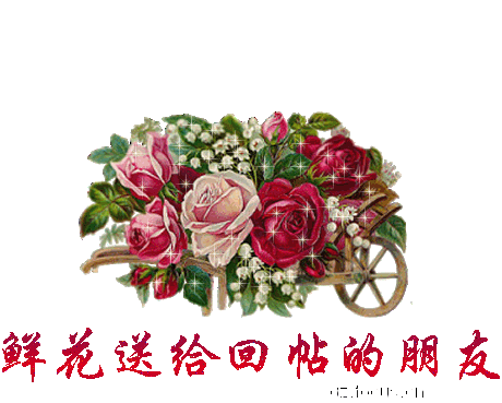 150638b7xbz8b8fbbff7xx.gif
