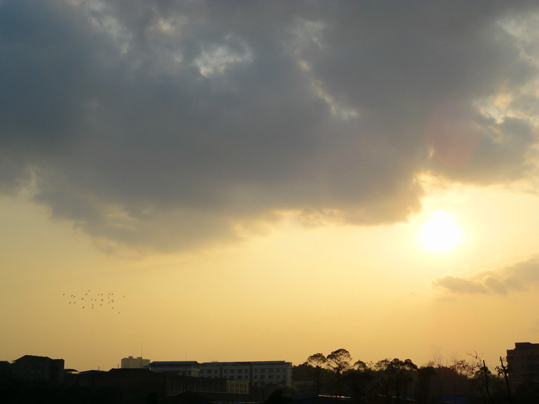 DSC08065_.jpg