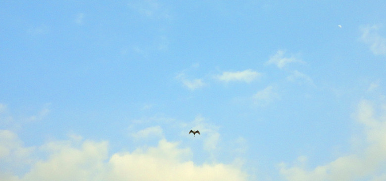 DSC08075_.jpg