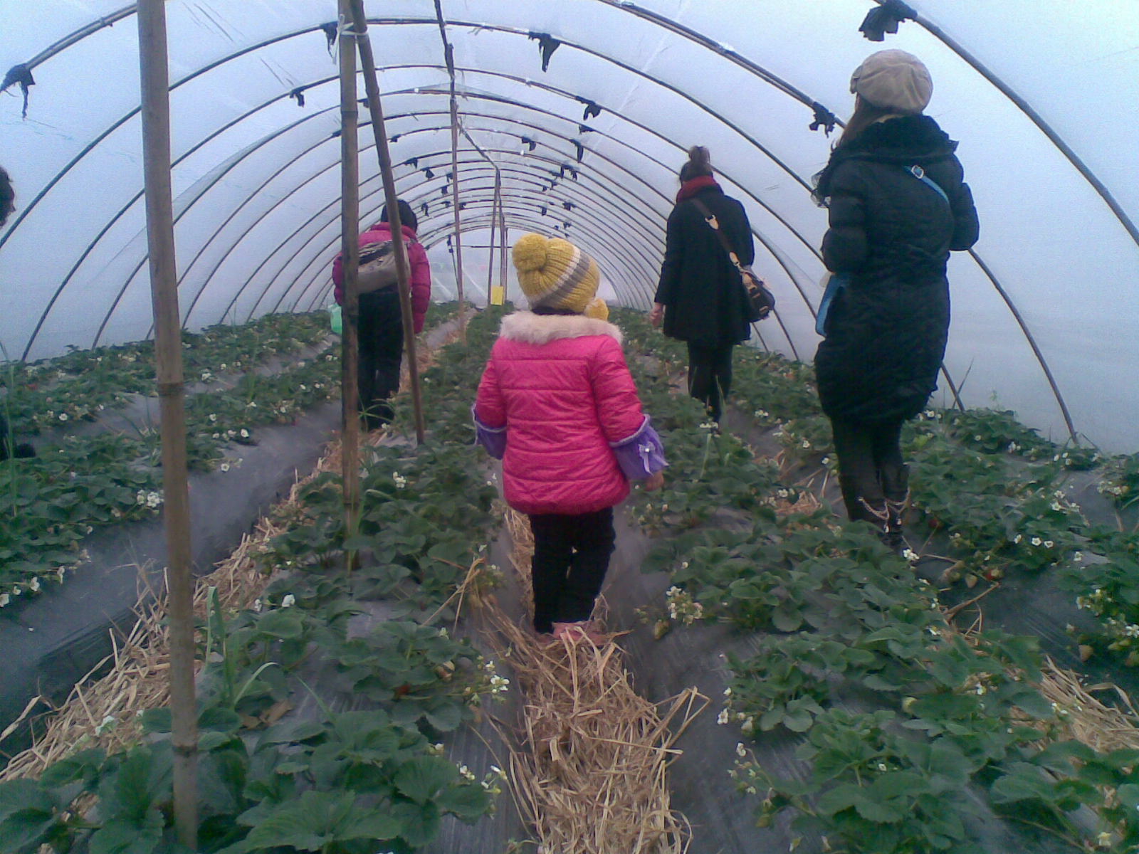 20121229.jpg